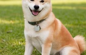 ChatGPT Image 21. Jan. 2026 12 39 20