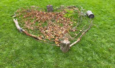 Waldtage2