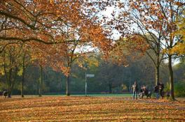 astrabo64 herbst 5348682